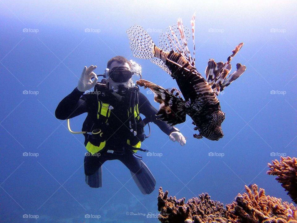 Underwater, Water Sports, People, Coral, Fish