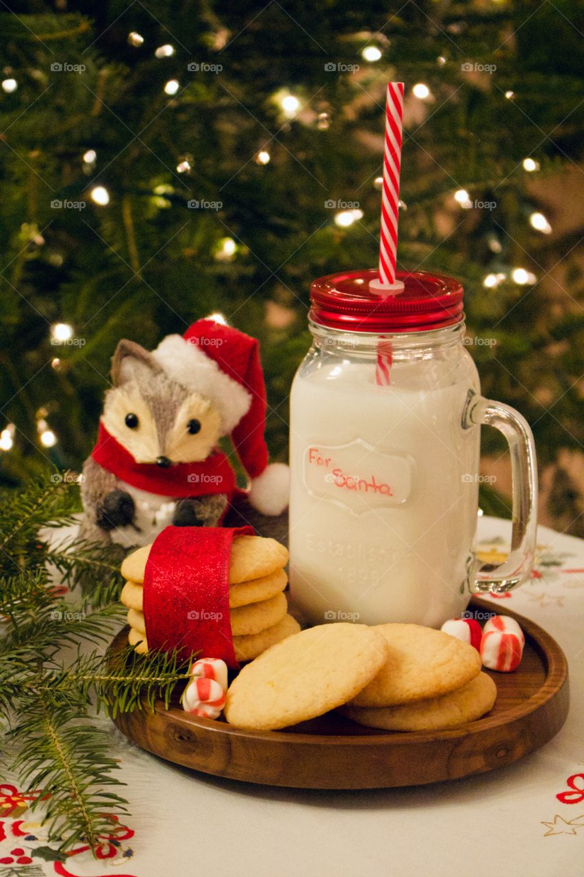 Christmas cookies and milk for Santa 