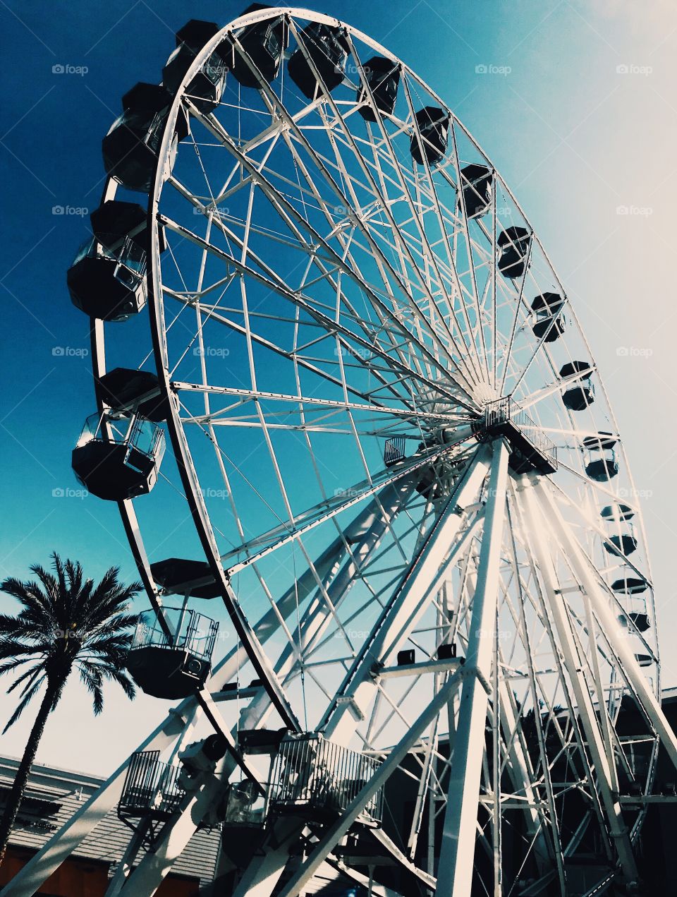 Ferris wheel in Orange Beach 
