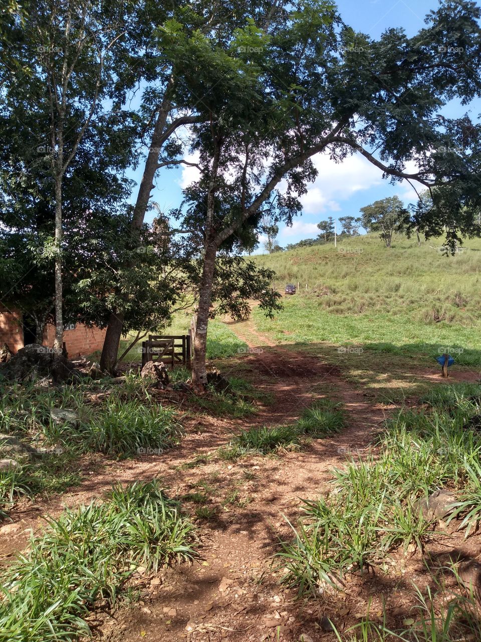 Passeio na roça como é prazeroso 🌿