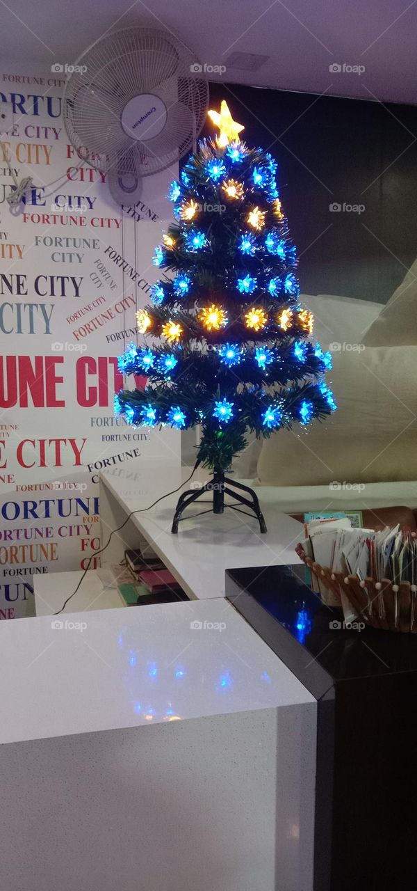 To small Christmas tree I saw on the way.🤩💙