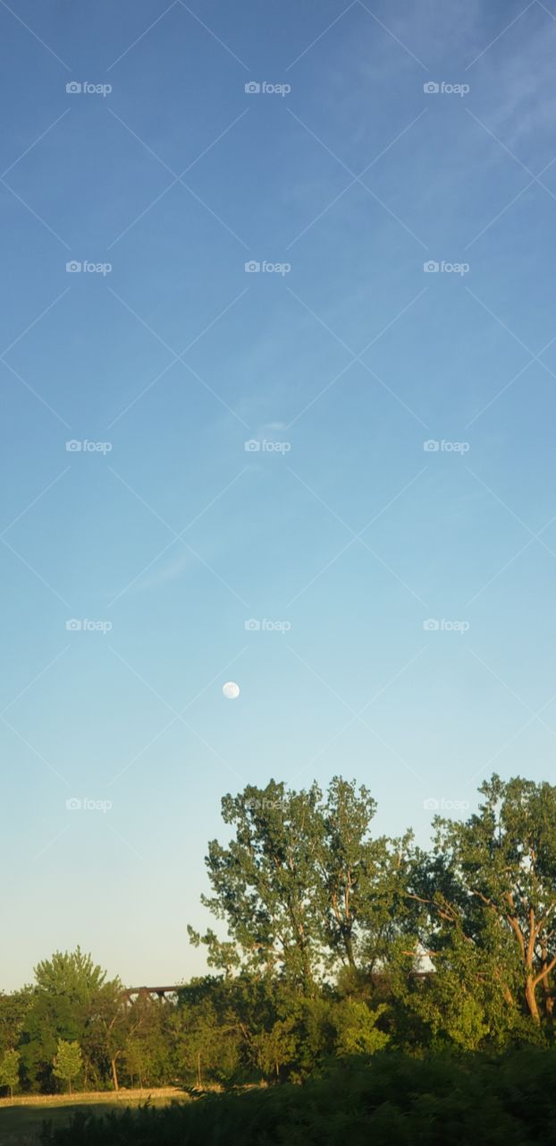 full moon in the sky