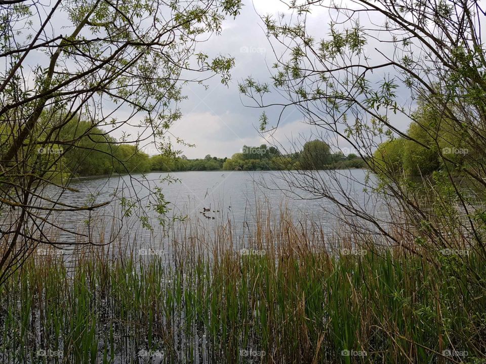 lake views