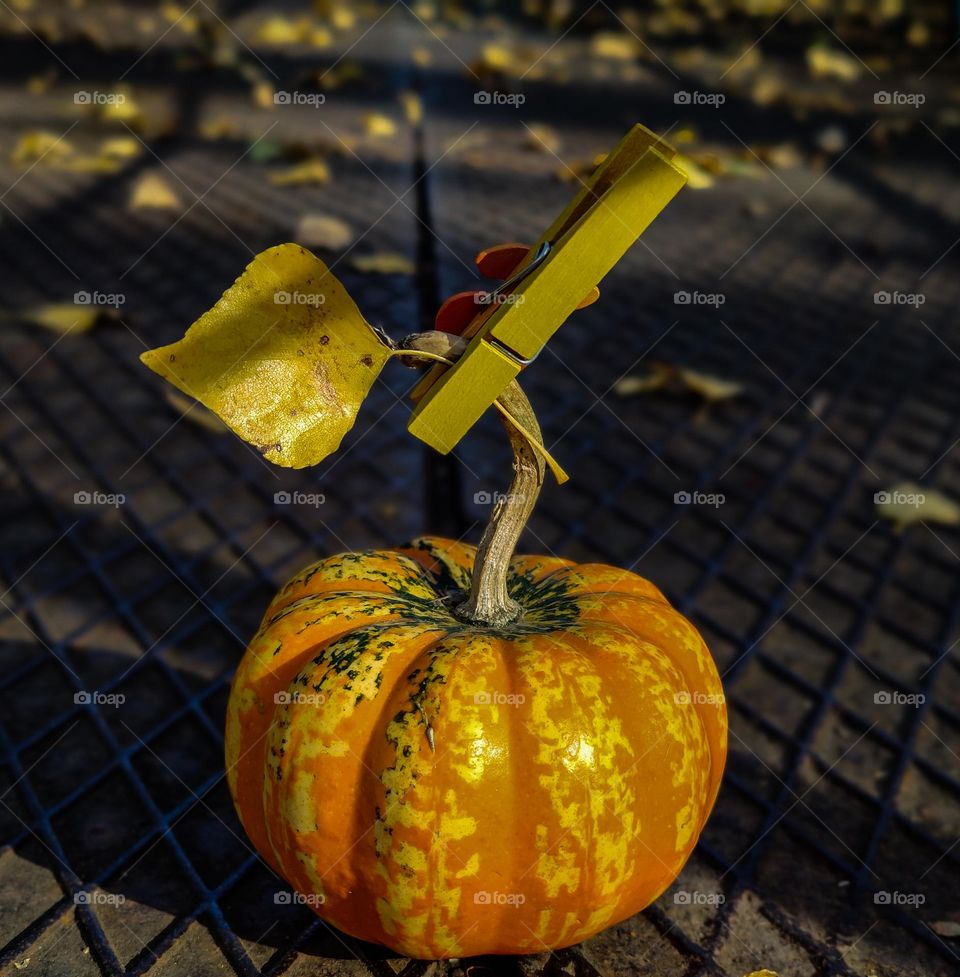 Helloween is for pumpkins