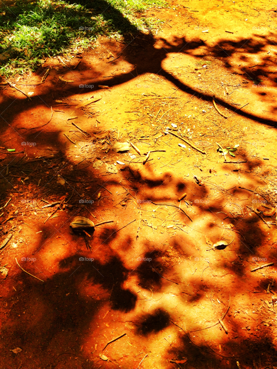 goiânia shadow walkway by doras