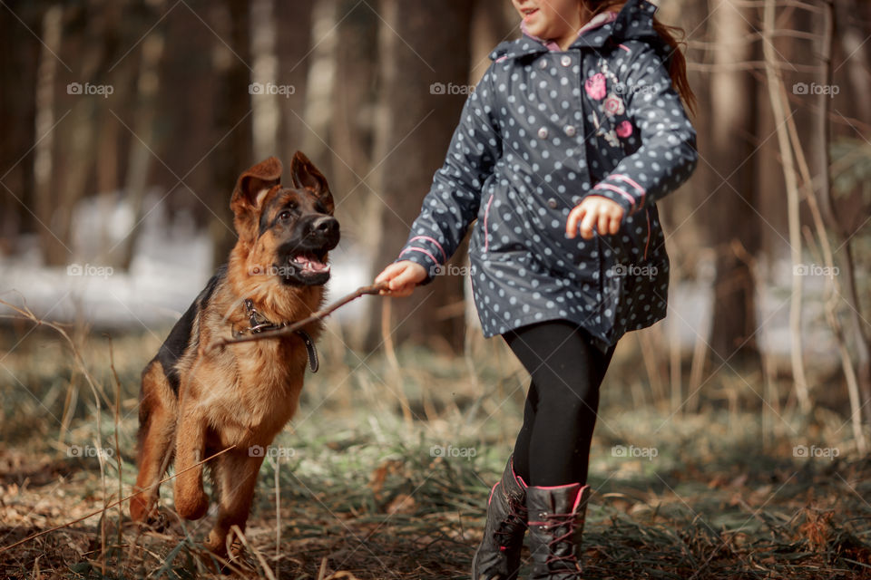 Girl playing with German shepherd puppy in a spring forest at sunny day 