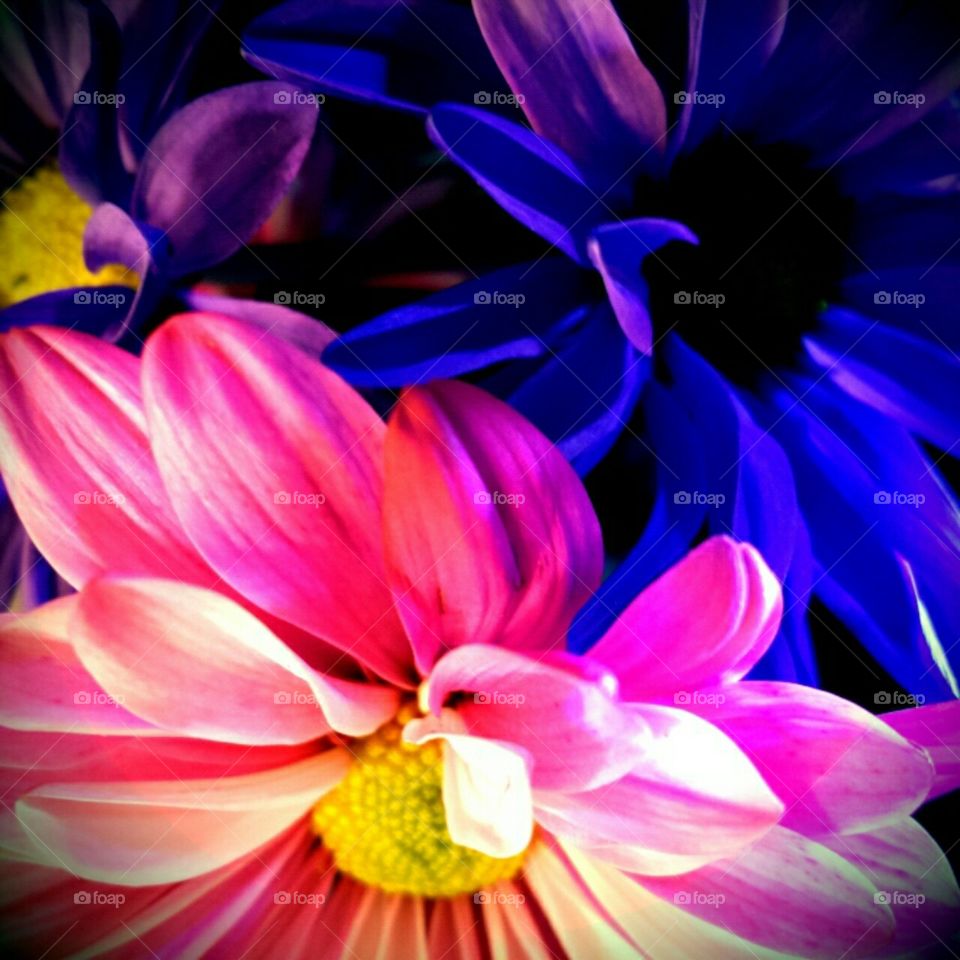 flashlight photography