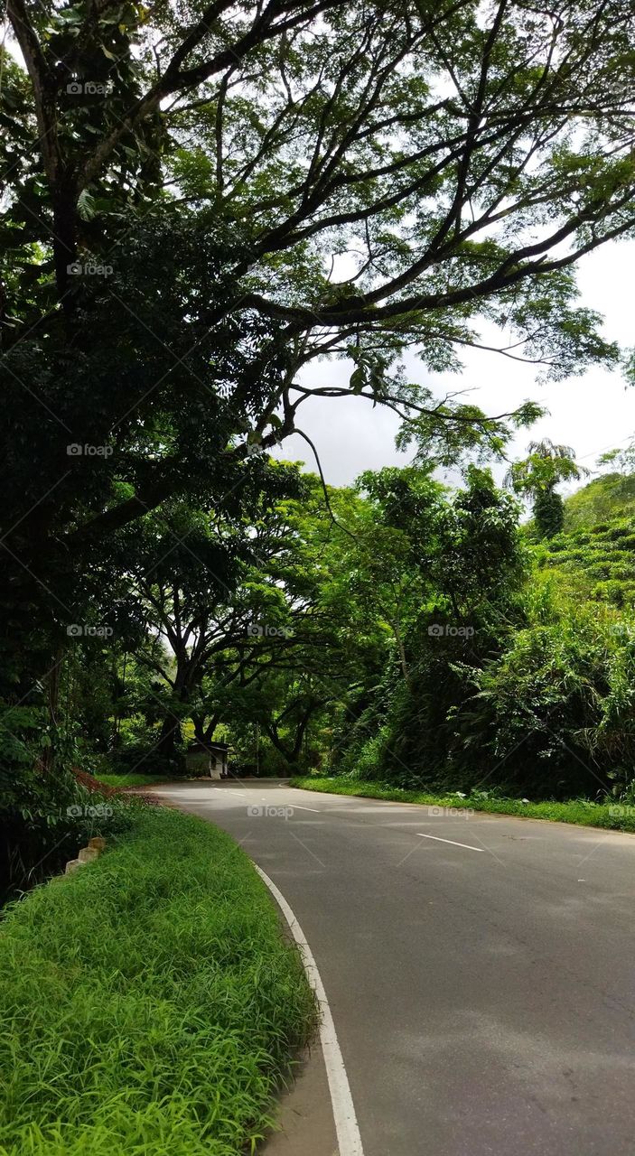 out of town.. beautiful road