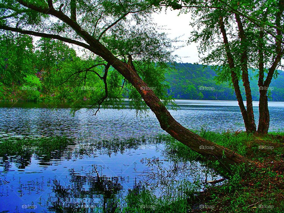 lake paris