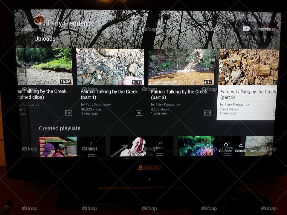 Fairy Frequency Youtube Channel