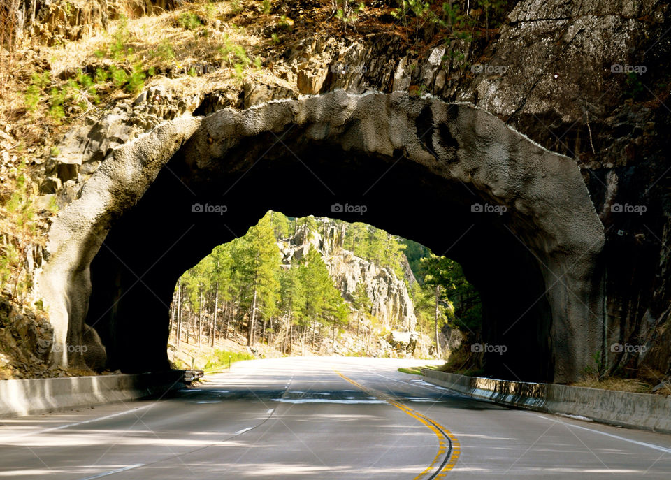 south dakota tunnel trees road by refocusphoto