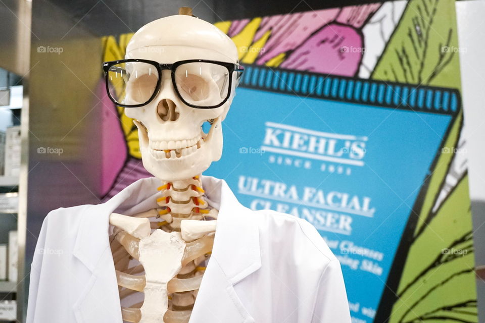 Bangkok, Thailand - September 16, 2017 : A portrait shot of Mr. Bones by Kiehl's (since 1951). Mr. Bones symbolizes science and pharmacy. The pharmacist used him to explain human anatomy & illnesses.