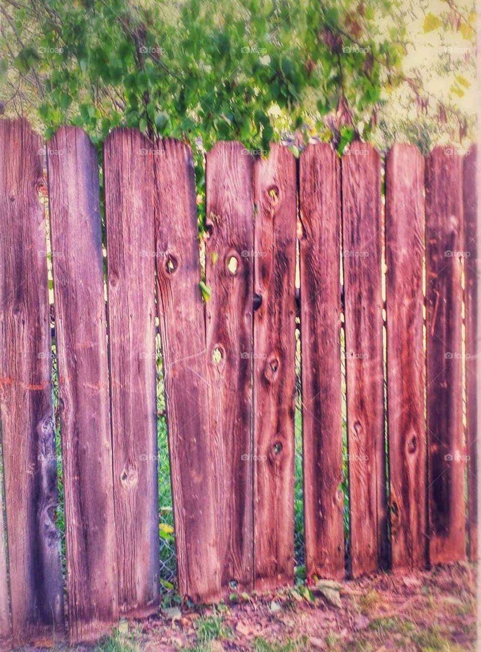 Old Vintage Fence