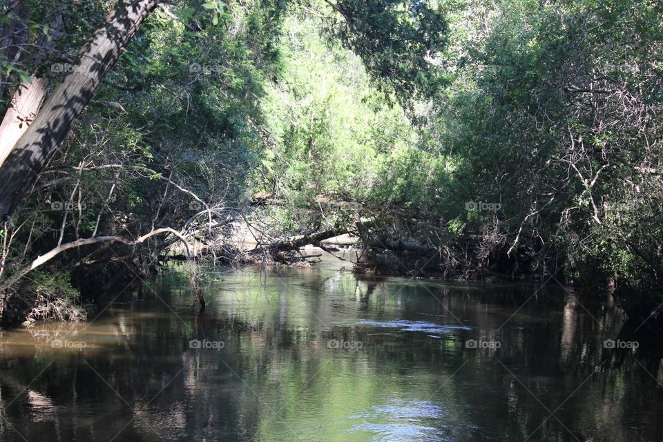 Pensacola, Florida 