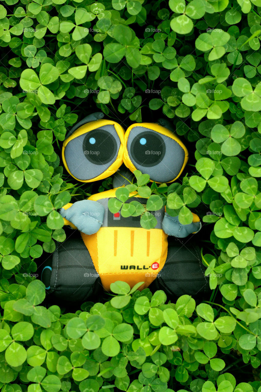 WALL.E in the clover