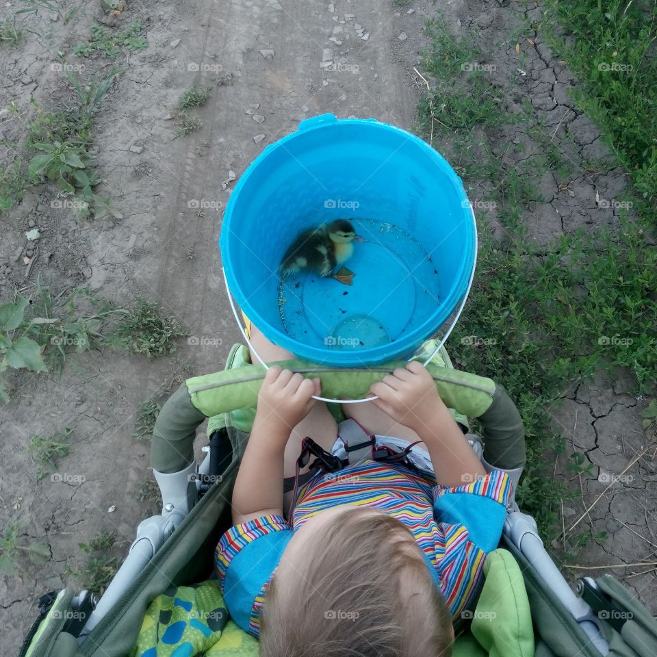 the child in the bucket of a duckling