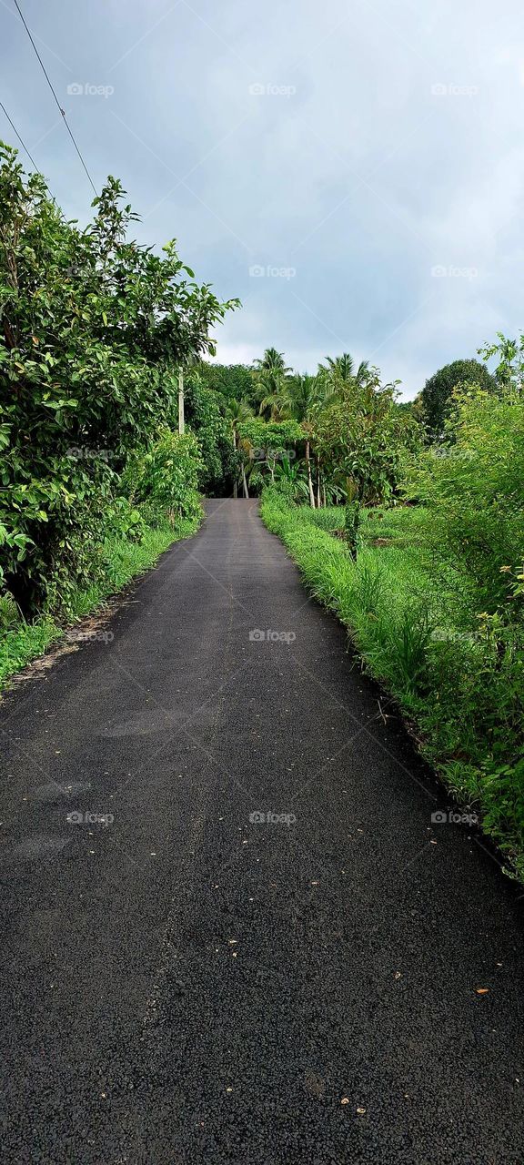 rural road