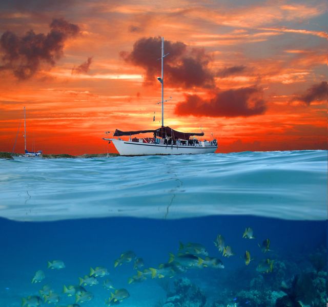 School of fish swimming underwater in front of sailboat