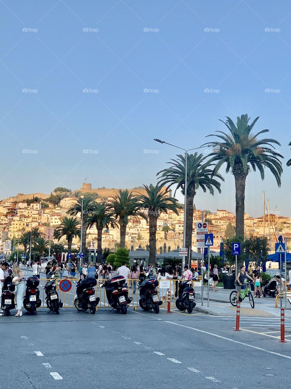 City with palm trees on the coast
