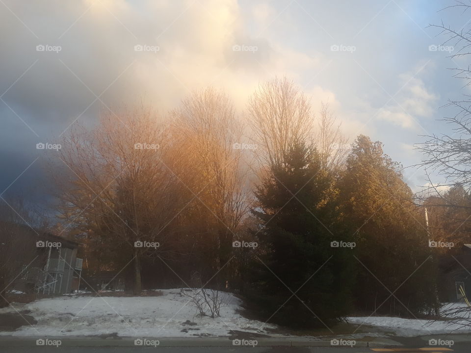 Dusk, Friday the 13th a soft diffused light at dusk in very early spring.