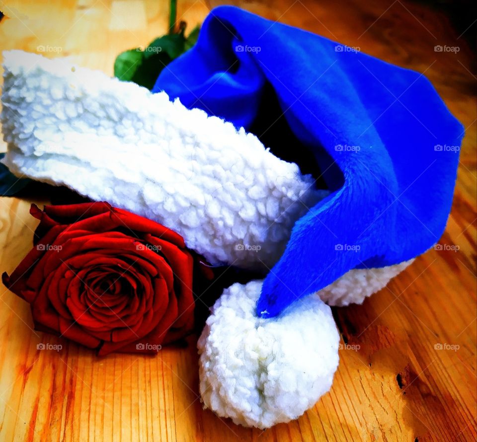Red rose and Santa Claus hat