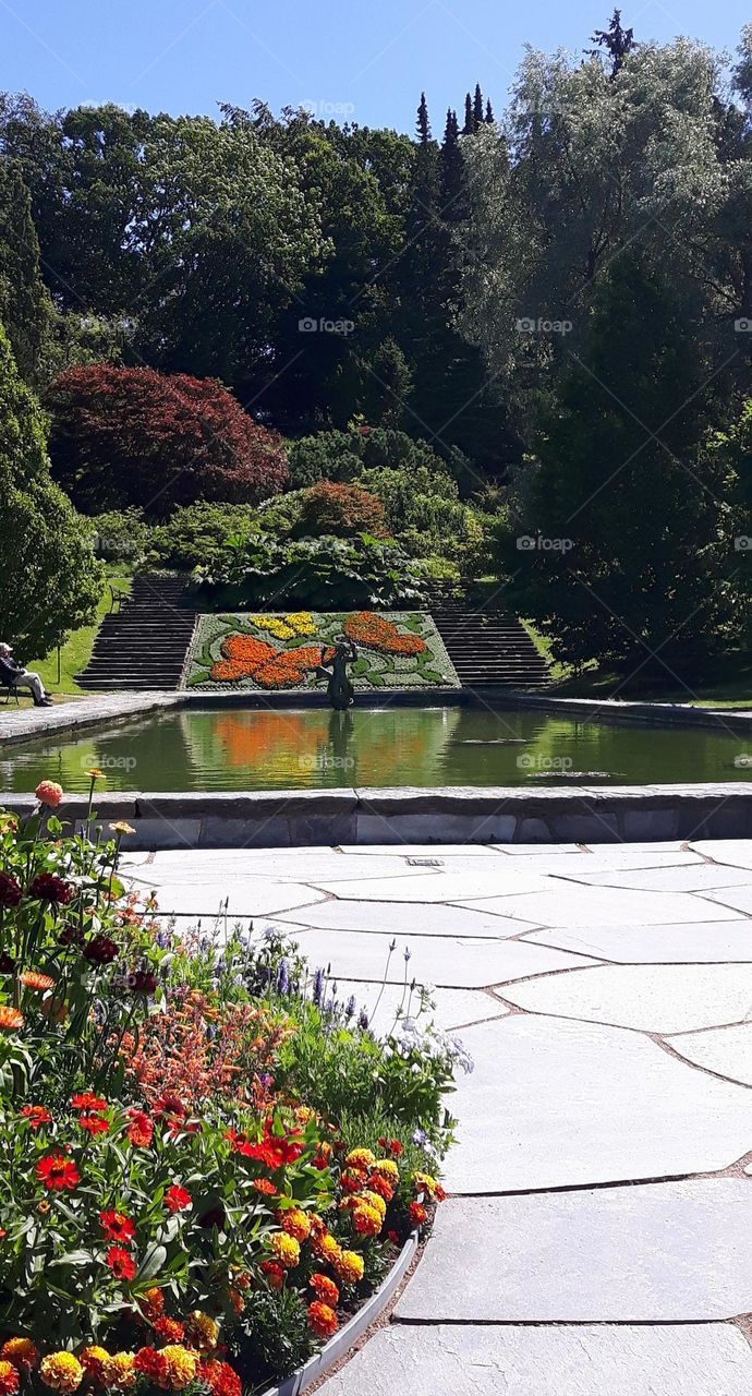 Bothanical garden with pond