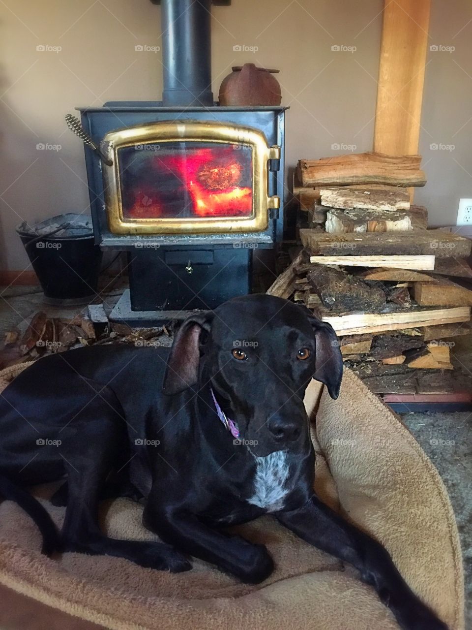 Her favorite spot in the world, sitting in front of the woodstove.