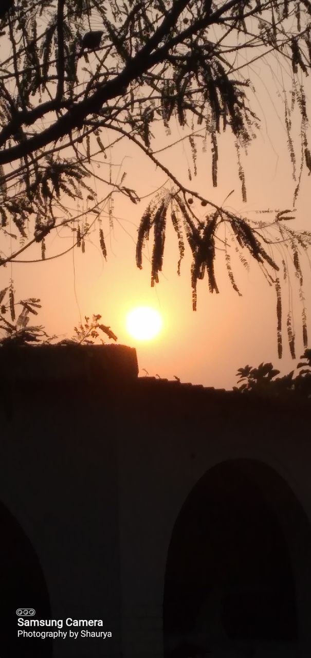 Nature of India