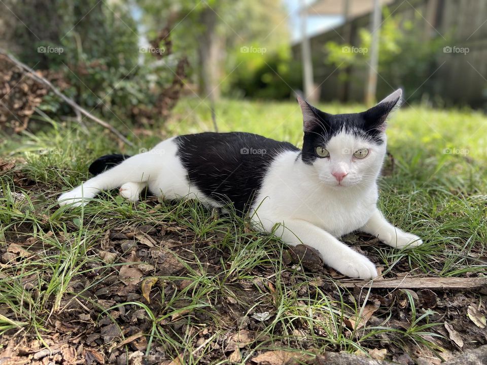 The weather is sweet