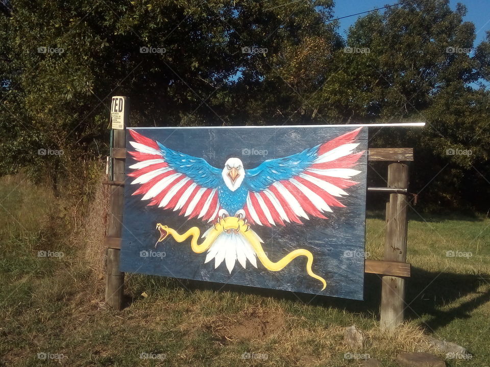 patriotic painting of an eagle on a piece of plywood holding a snake in it's talons.