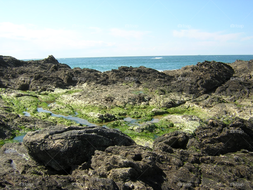 nature nice landscapes by izabela.cib