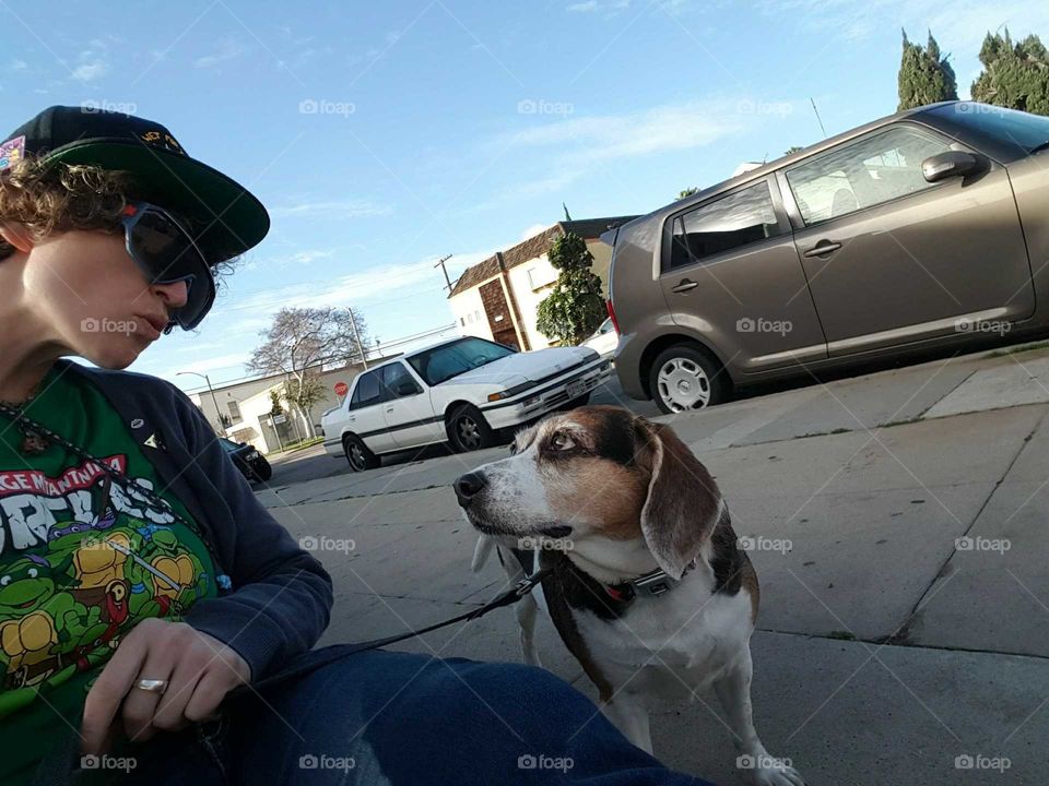 Person and beagle looking at each other.