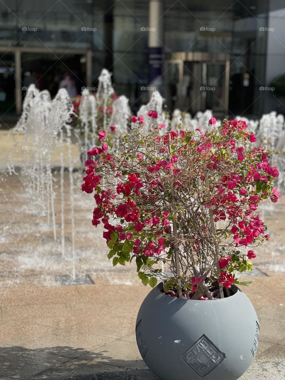 Reds in vase