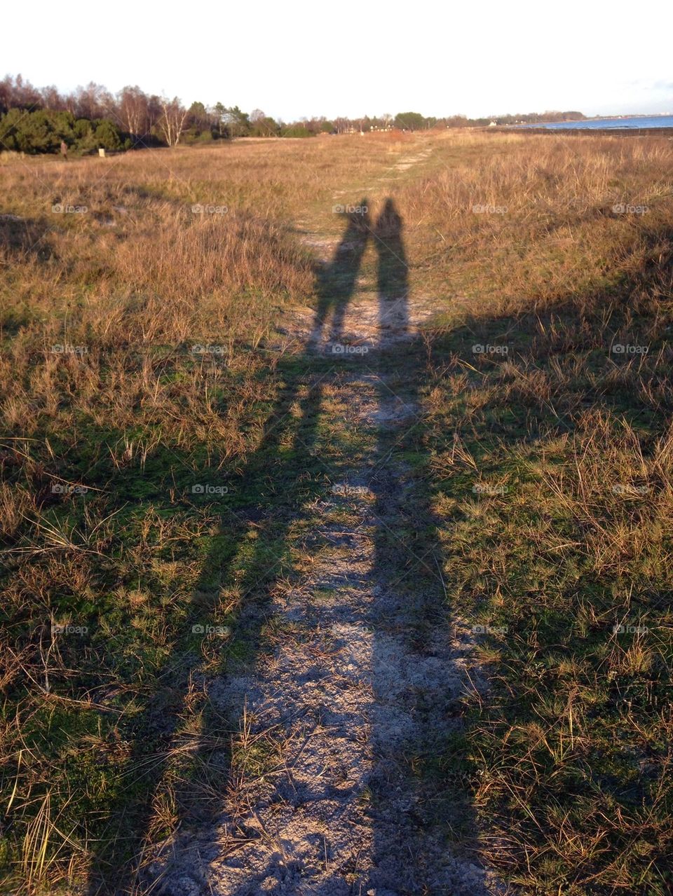 Shadows selfie