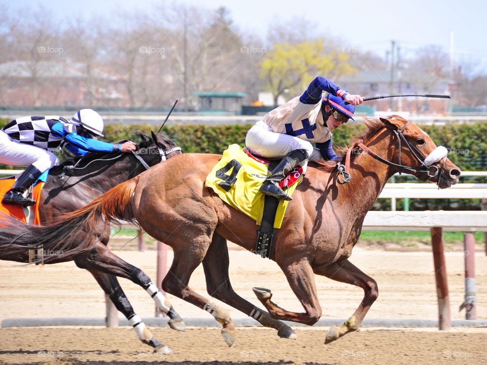 Adrift- Irad Ortiz Jr. The 3 yr.  old chestnut filly Adrift winning her debut race with young hot shot Irad Ortiz Jr. 
Fleetphoto