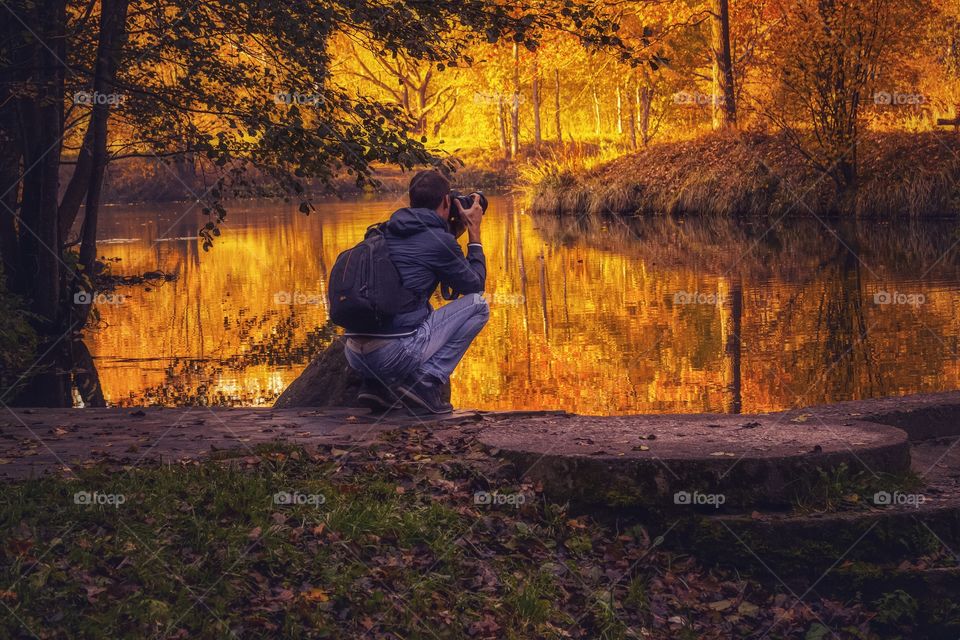 sunrise in the forest