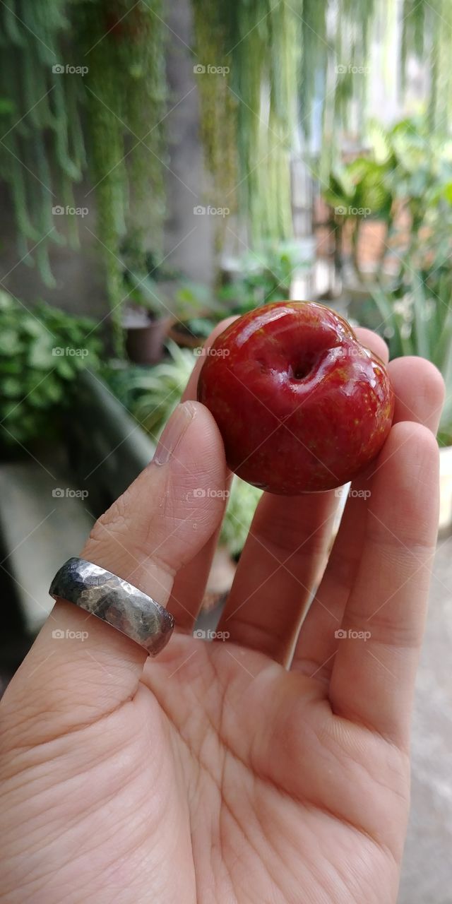 Apple, Food, Health, Nature, Hand