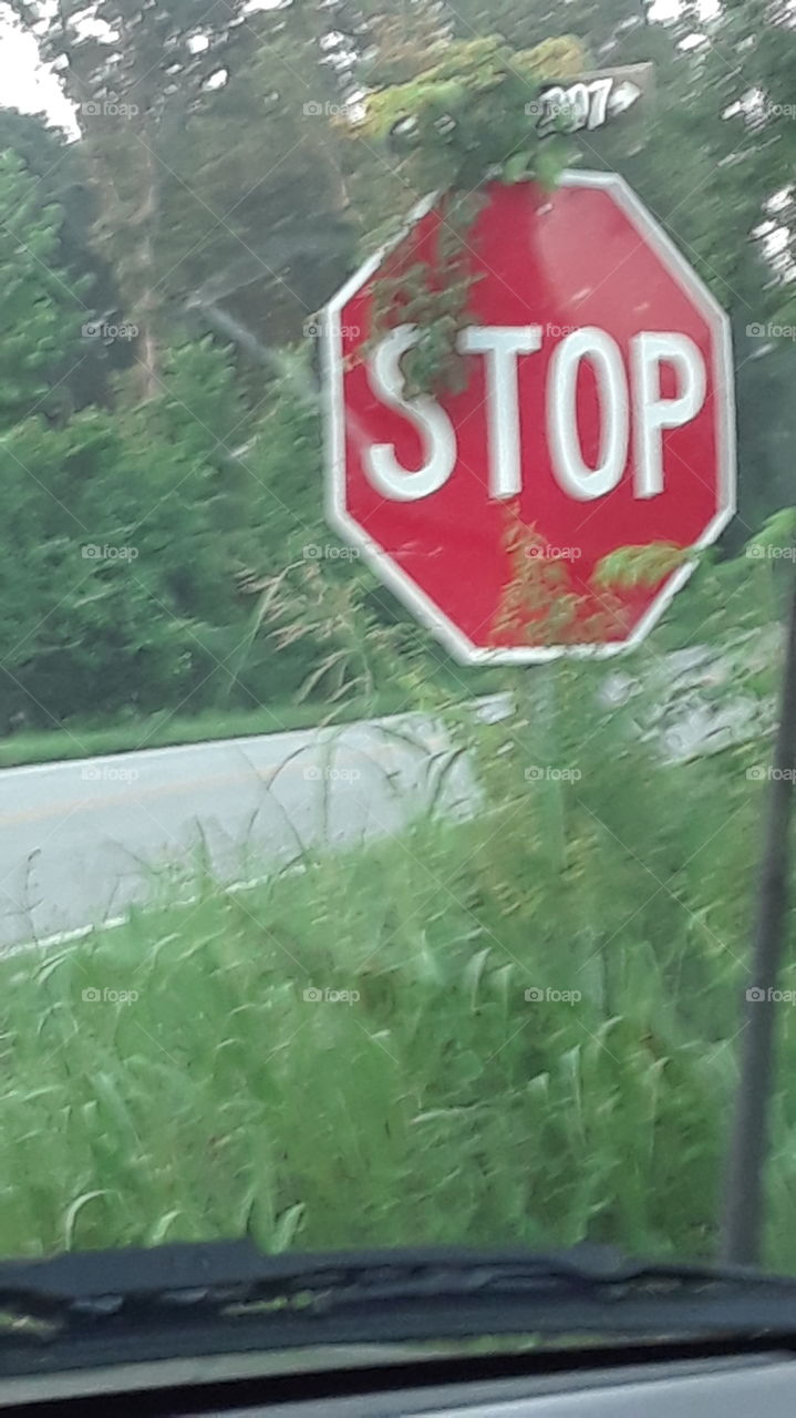 stop