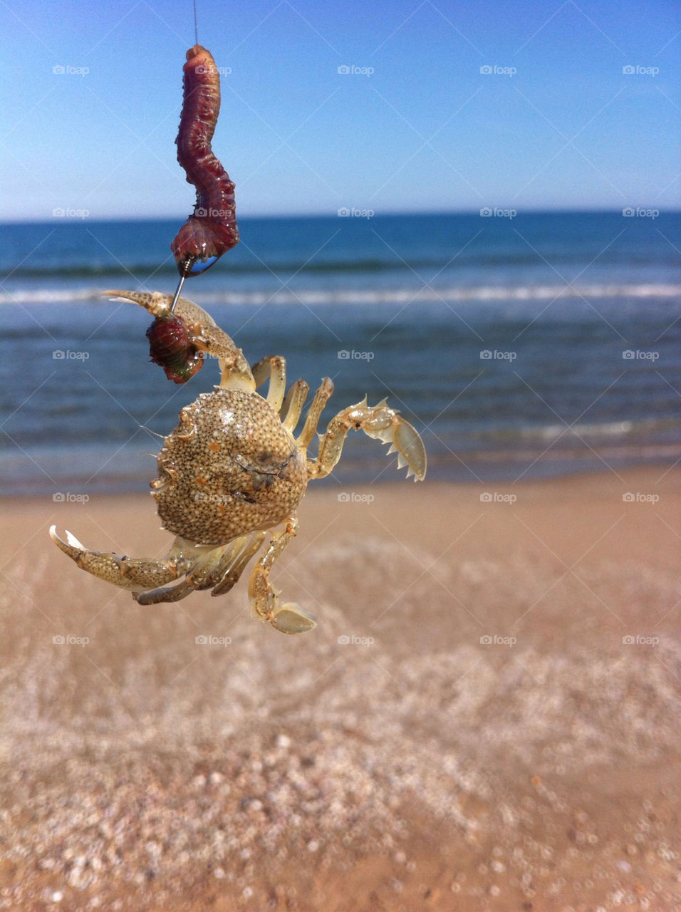 beach summer water sand by benjaminet