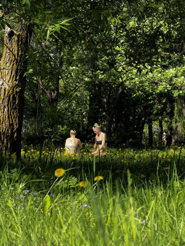 girls sunbathe in the park