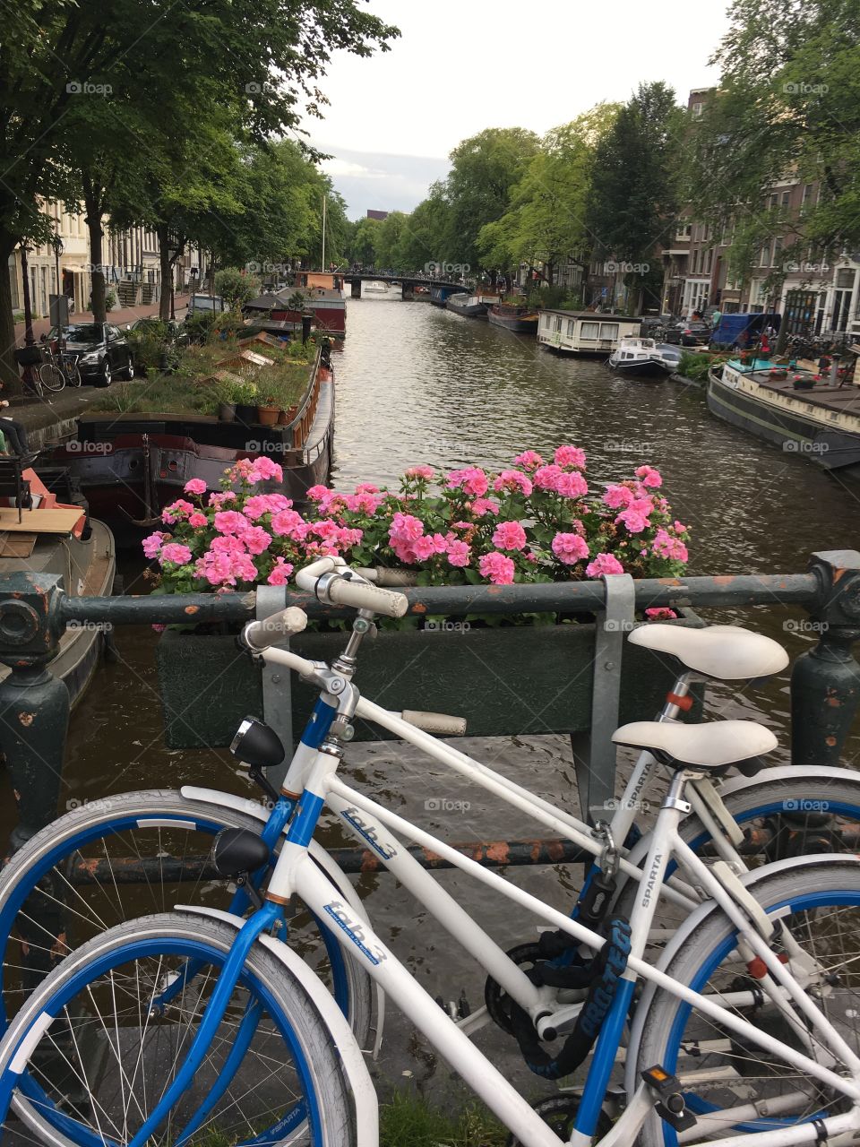 The beauty of Amsterdam. 