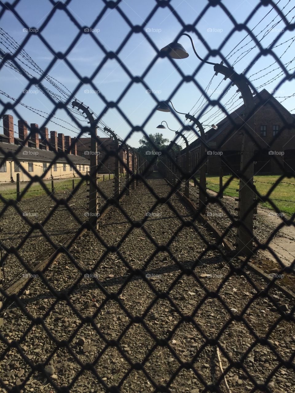 Metal and barbed wire fence in Oswiecim