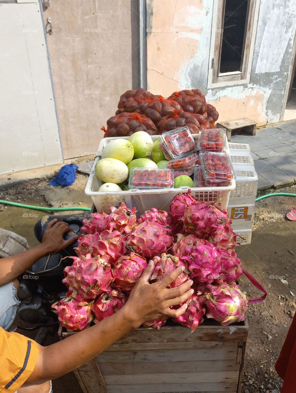 The fruits are being marketed around the countryside