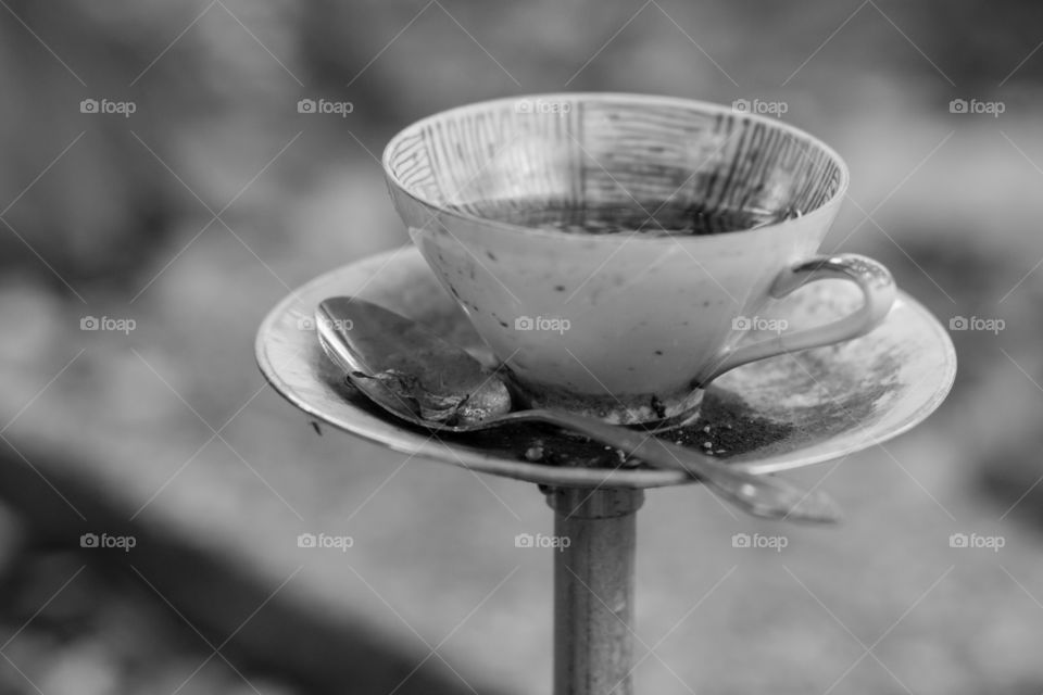 Tea cup 
