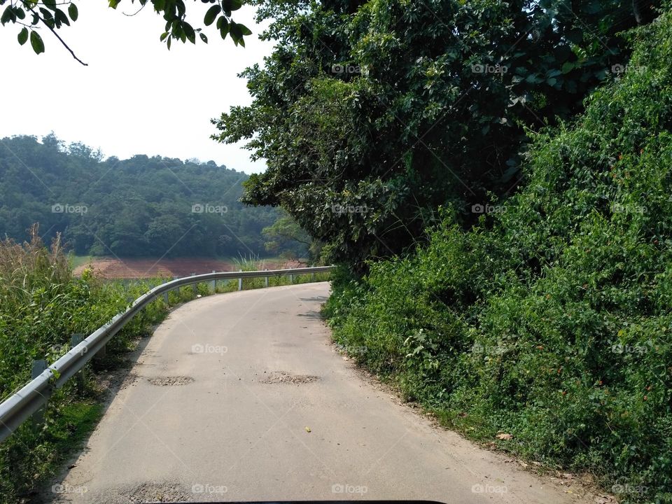 Road with nature