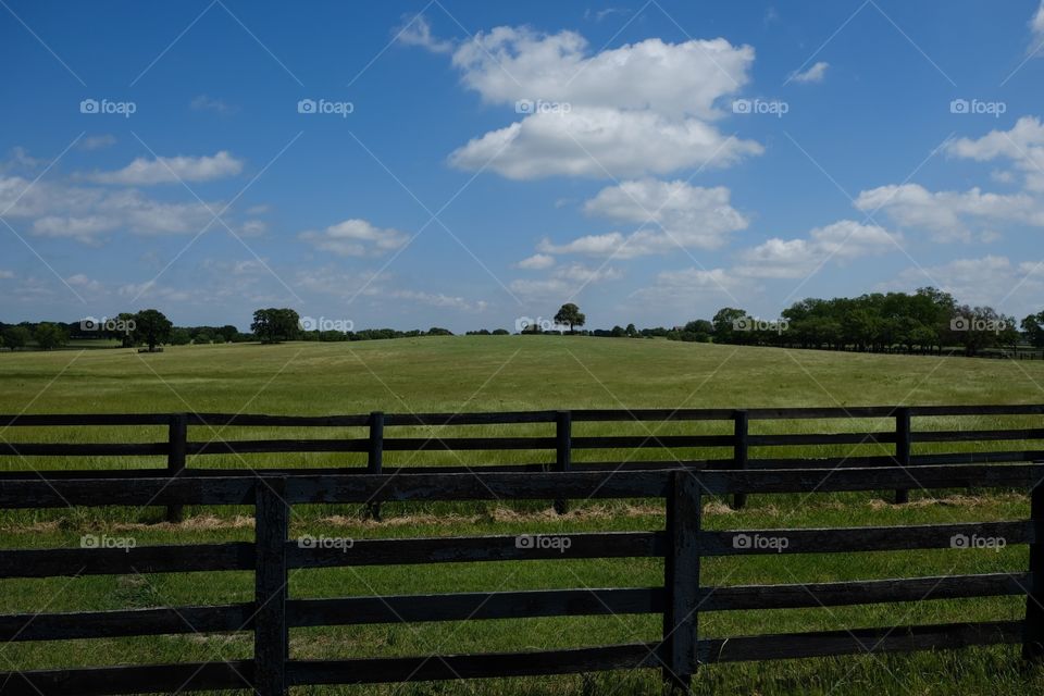 Horse ranch pasture