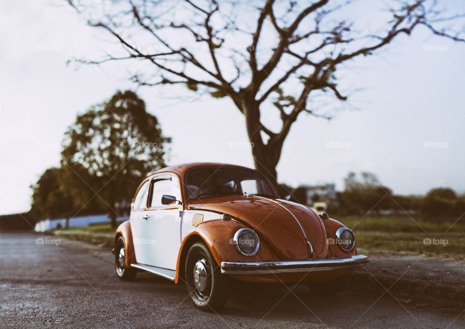 retro classic vintage car Volkswagen Beetle 1971