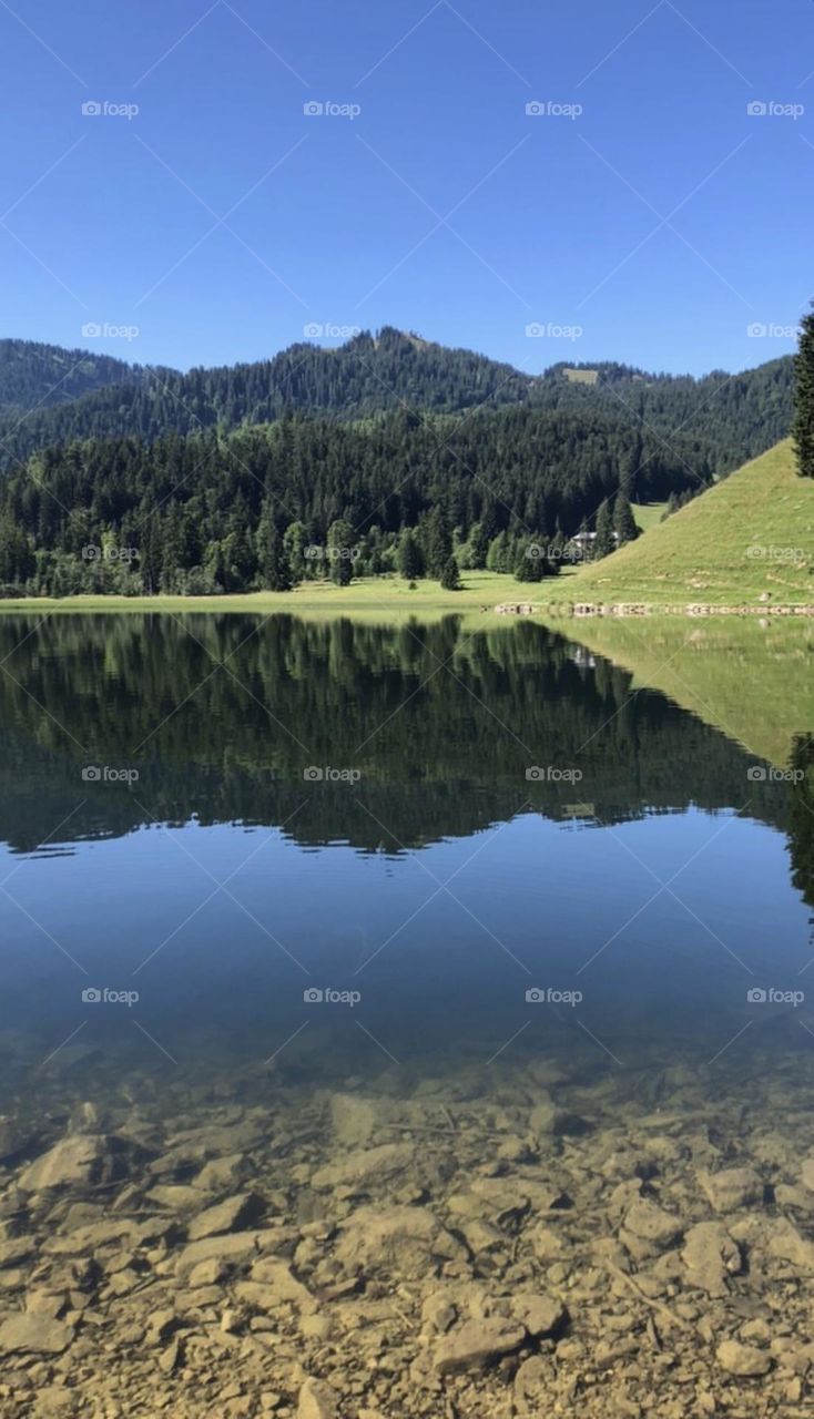 Ali en algún lugar de Alemania 🇩🇪