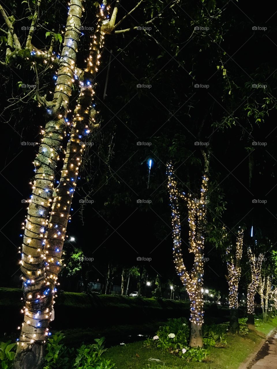 Luzes que iluminam a cidade de Petrópolis, já preparando para a chegada do Natal. 