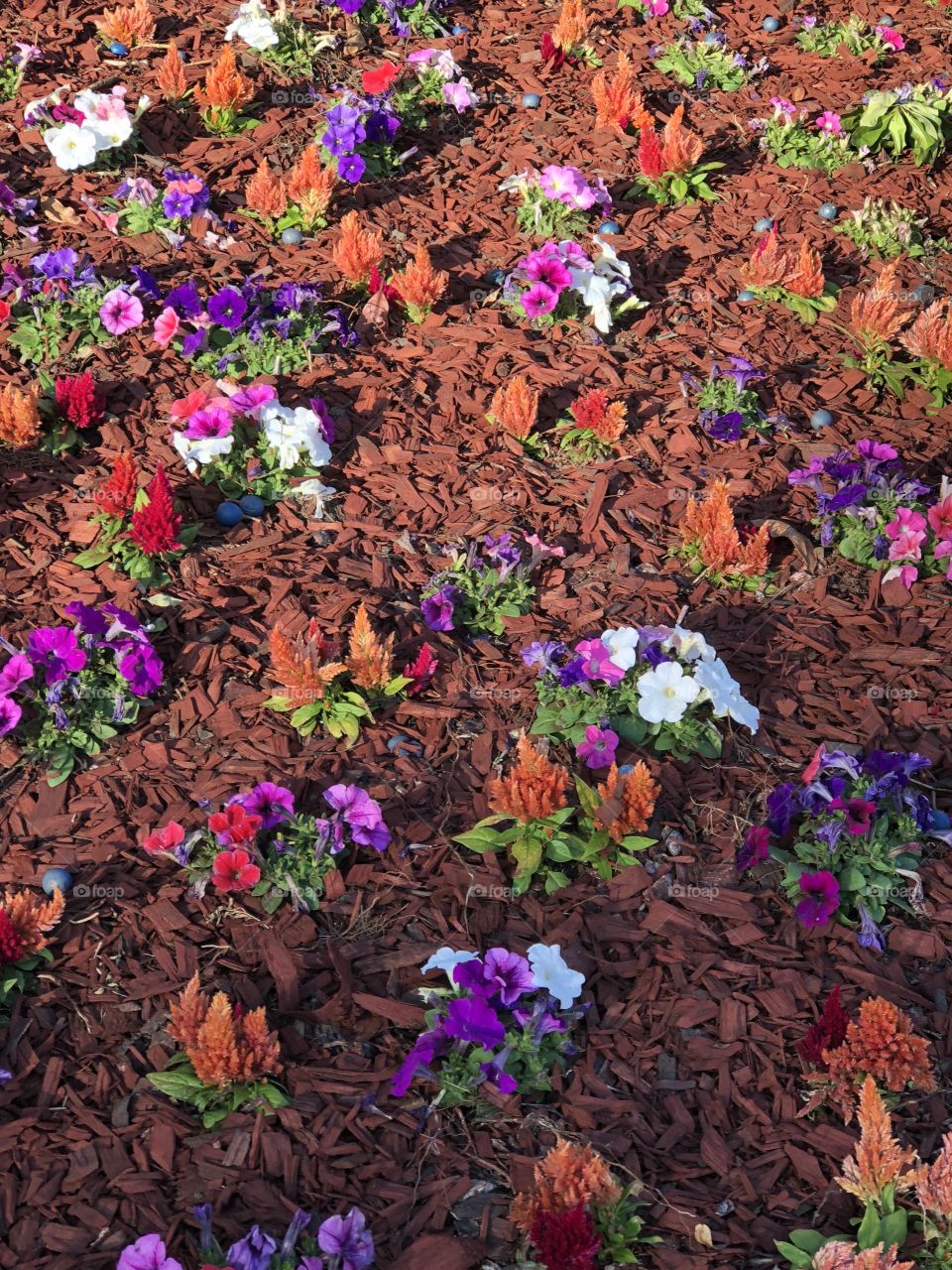 Flower bed